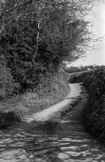 A black and white film photo of a winding country lane. It snakes from left to right across the image, with trees on the left and a hedge on the right.